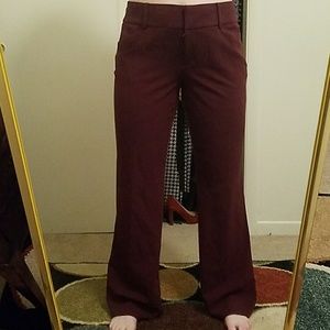 Burgundy Suit Pants